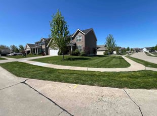 Leon D.'s grass cutting service result