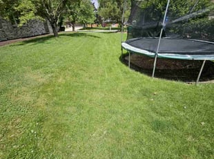 Jolie C.'s lawn service service result