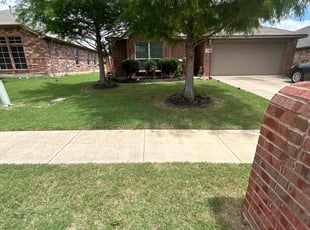 Paul C.'s lawn service service result