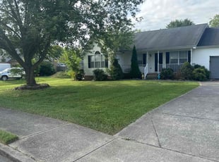 Martin B.'s lawn care services service result