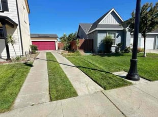 Lynnette M.'s grass maintenance service result