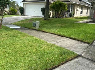 Candice W.'s lawn maintenance service result