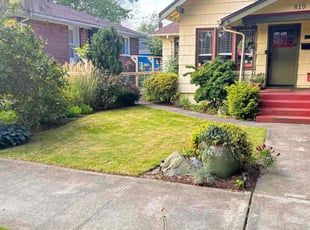 Jaime C.'s lawn maintenance service result