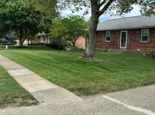 Naara T.'s lawn care service result