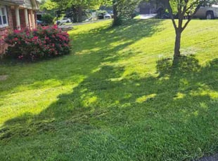 Michele H.'s lawn care services service result