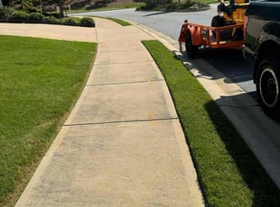 Anthony R.'s grass maintenance service result