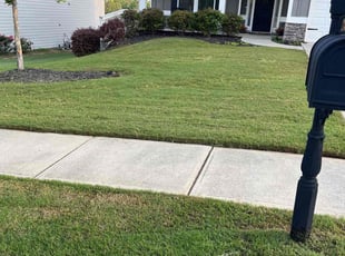 Deana G.'s lawn care service result