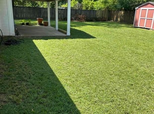 Miguel M.'s lawn service service result