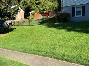 Yves M.'s turf care service result