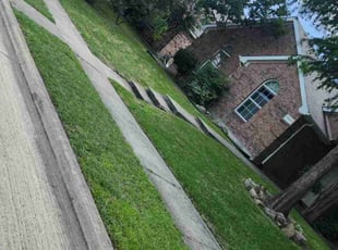Tameisha W.'s lawn maintenance service result