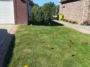 Phillip S.'s lawn maintenance service result