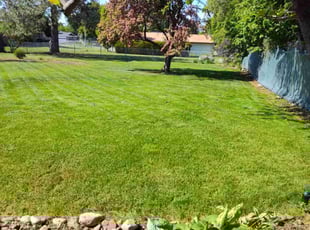 Deborah H.'s lawn care services service result