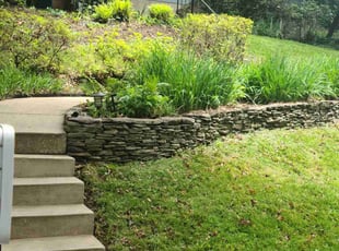 Sherry L.'s Bush Trimming service result