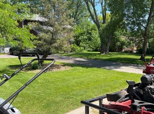 Daniel G.'s turf care service result