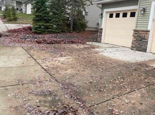 Tracey S.'s Leaf Removal service result