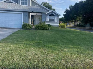 Doug P.'s lawn care services service result