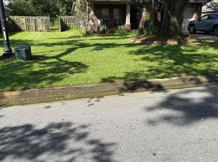 Kathryn V.'s grass maintenance service result
