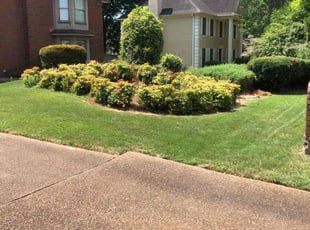 John S.'s lawn care service result
