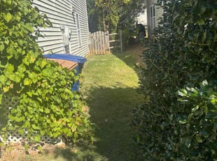 Timothy K.'s lawn care service result