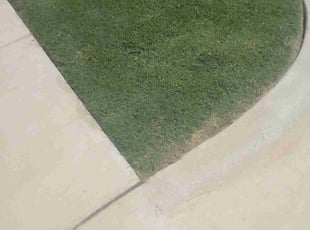 Eric L.'s lawn care services service result