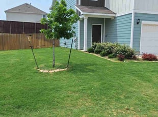 Carol C.'s turf maintenance service result