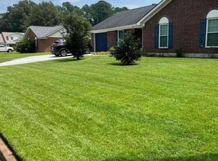 Daniel A.'s turf care service result