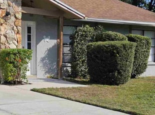 Patti G.'s Bush Trimming service result