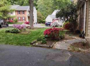 Camri S.'s turf care service result