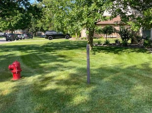 Carolyn C.'s lawn service service result
