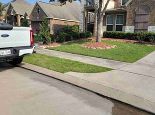 Dan N.'s landscape maintenance service result