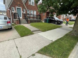 Ken S.'s grass maintenance service result