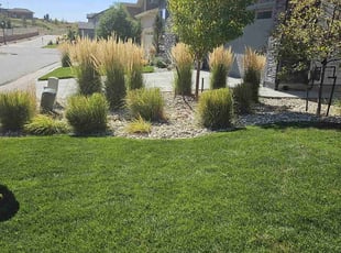 Brittany S.'s Bush Trimming service result