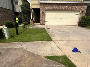 Priscilla D.'s lawn maintenance service result