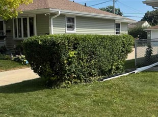 Eugenia T.'s Bush Trimming service result