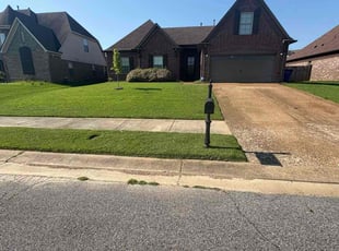 Deborah D.'s lawn maintenance service result