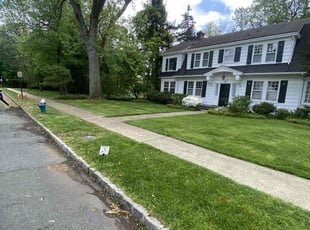 Kyna B.'s lawn care services service result