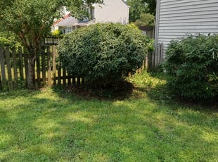 Marc S.'s Bush Trimming service result