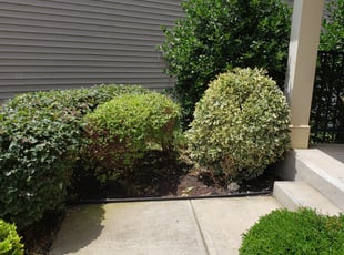 Edgar A.'s Bush Trimming service result