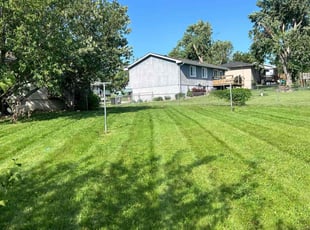 Rosann C.'s lawn care service result