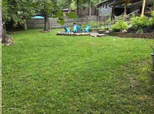 Ashley T.'s lawn maintenance service result
