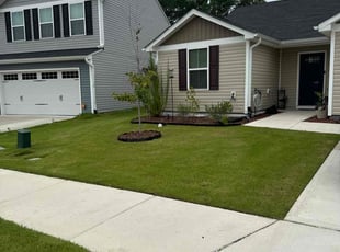 Gina G.'s lawn care service result