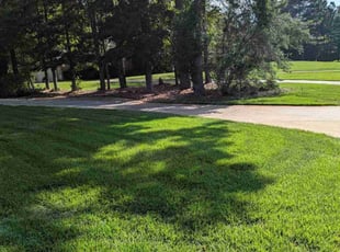 Zinara H.'s lawn care services service result