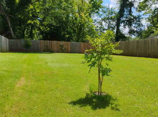 Parker R.'s turf care service result