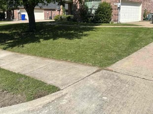 Shane K.'s lawn care services service result