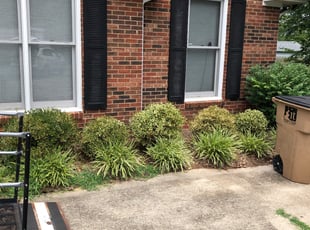 John D.'s Bush Trimming service result