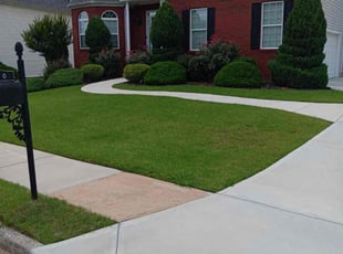 Leslie C.'s lawn care service result