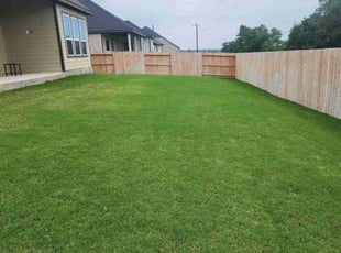Kelli C.'s turf care service result