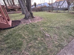 Twayne H.'s Leaf Removal service result