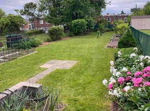 Jaise J.'s lawn care services service result