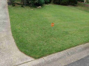Isaac B.'s lawn service service result